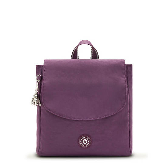 Kipling Dannie Small Rugzak Paars | België 1666CT